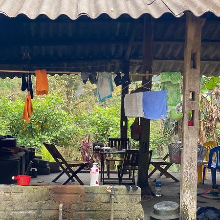 Bikki'S Jungle Homestay Ха Жианг Екстериор снимка