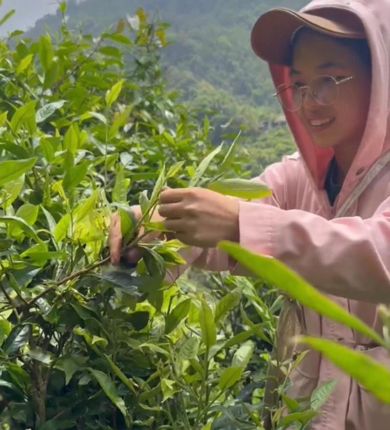 Bikki'S Jungle Homestay Ха Жианг Екстериор снимка