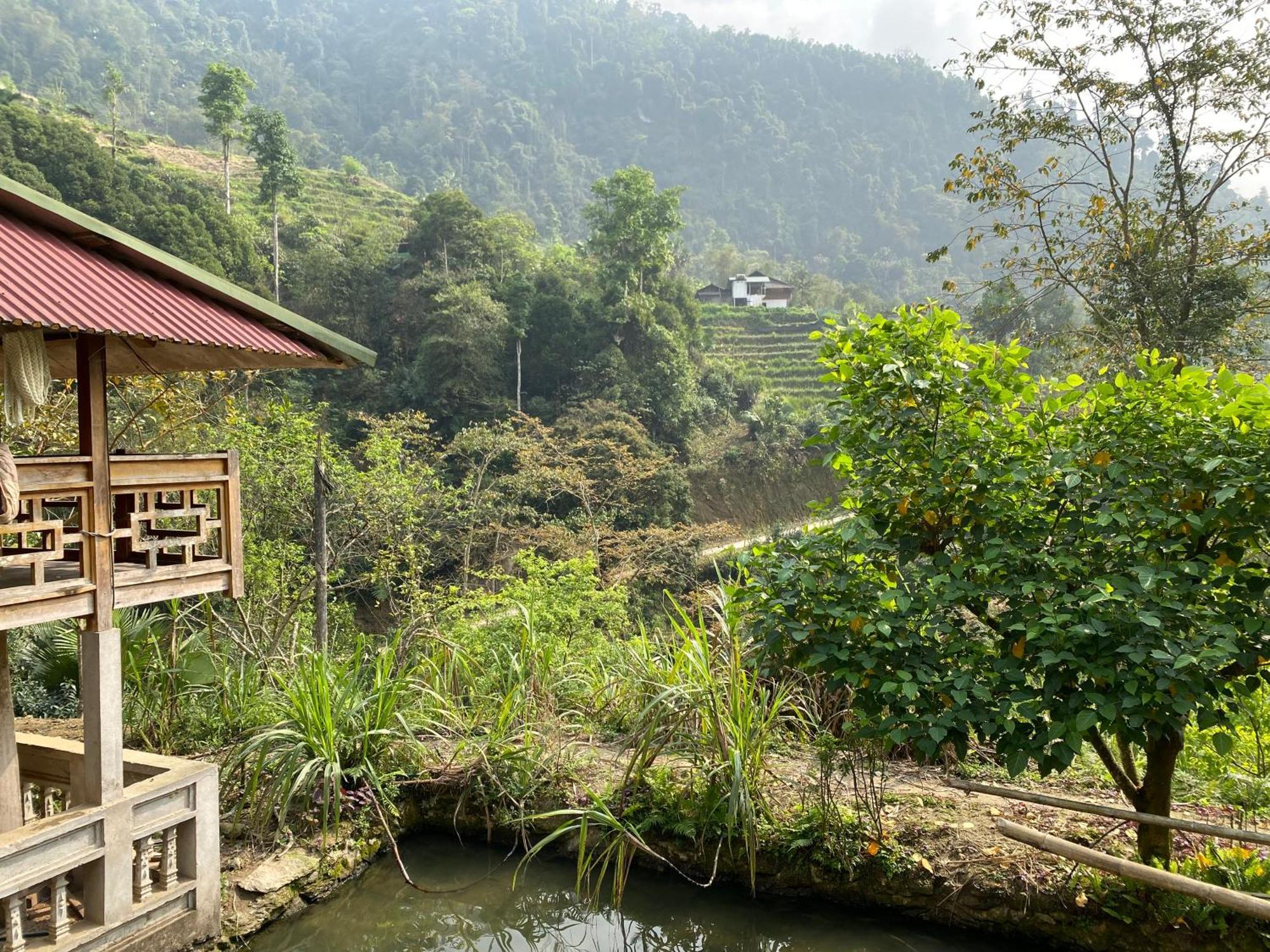 Bikki'S Jungle Homestay Ха Жианг Екстериор снимка